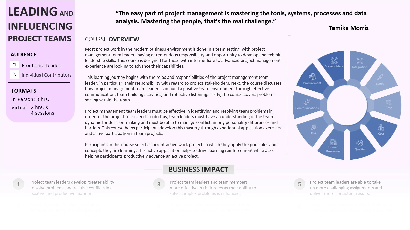 Leading and Influencing Project Teams