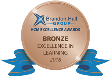 Bronze Excellence Award in Learning Strategy