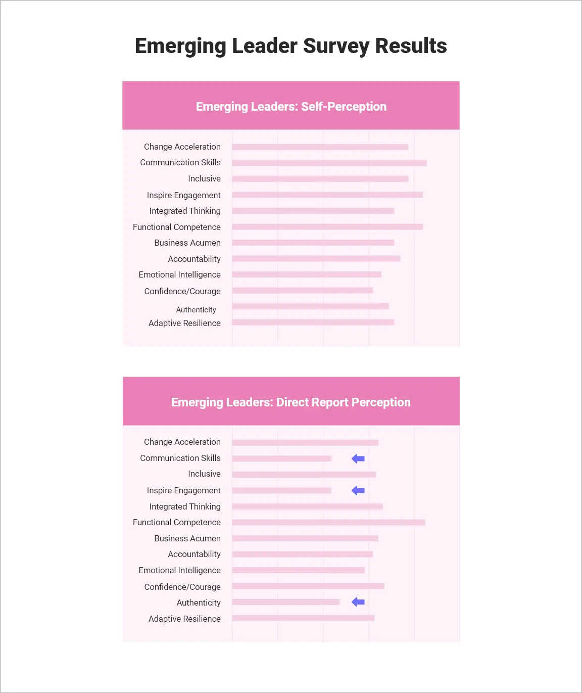 Emerging-Leader-Survey-Results